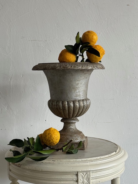 メディシス N-12 新入荷アイテム/ガーデン/門扉 フランスアンティーク Sold out