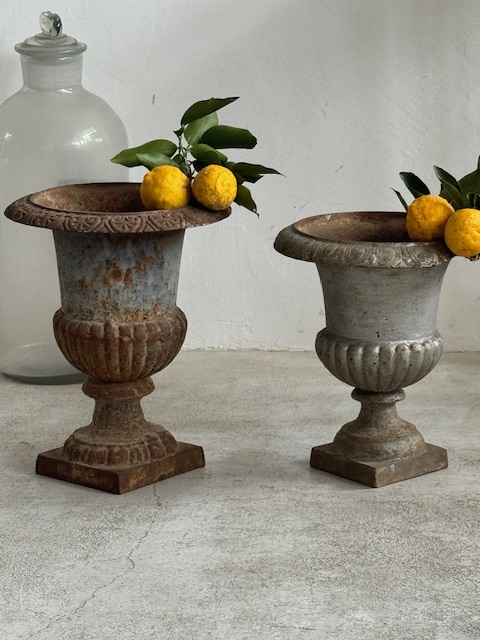 メディシス N-19 新入荷アイテム/ガーデン/門扉 フランスアンティーク Sold out