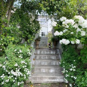 入口ディフェランスフランスアンティーク猫お花お庭の入り口